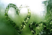 欧博:世运会史上首支火炬“竹梦”今天亮相成都.